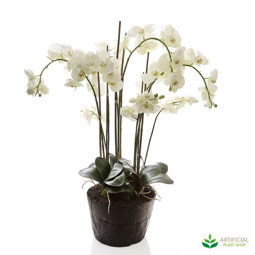 Large White Artificial orchid in paper pot